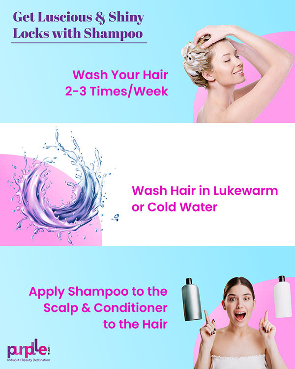 Purplle graphic exploration 1