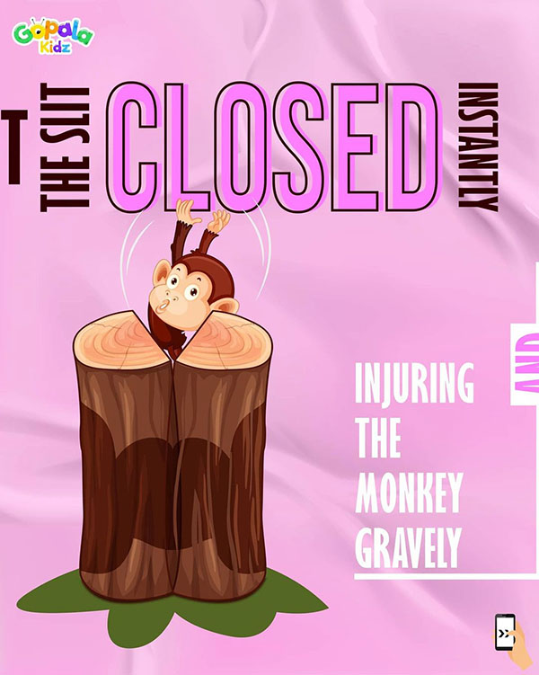 Vaw world monkey story page 7